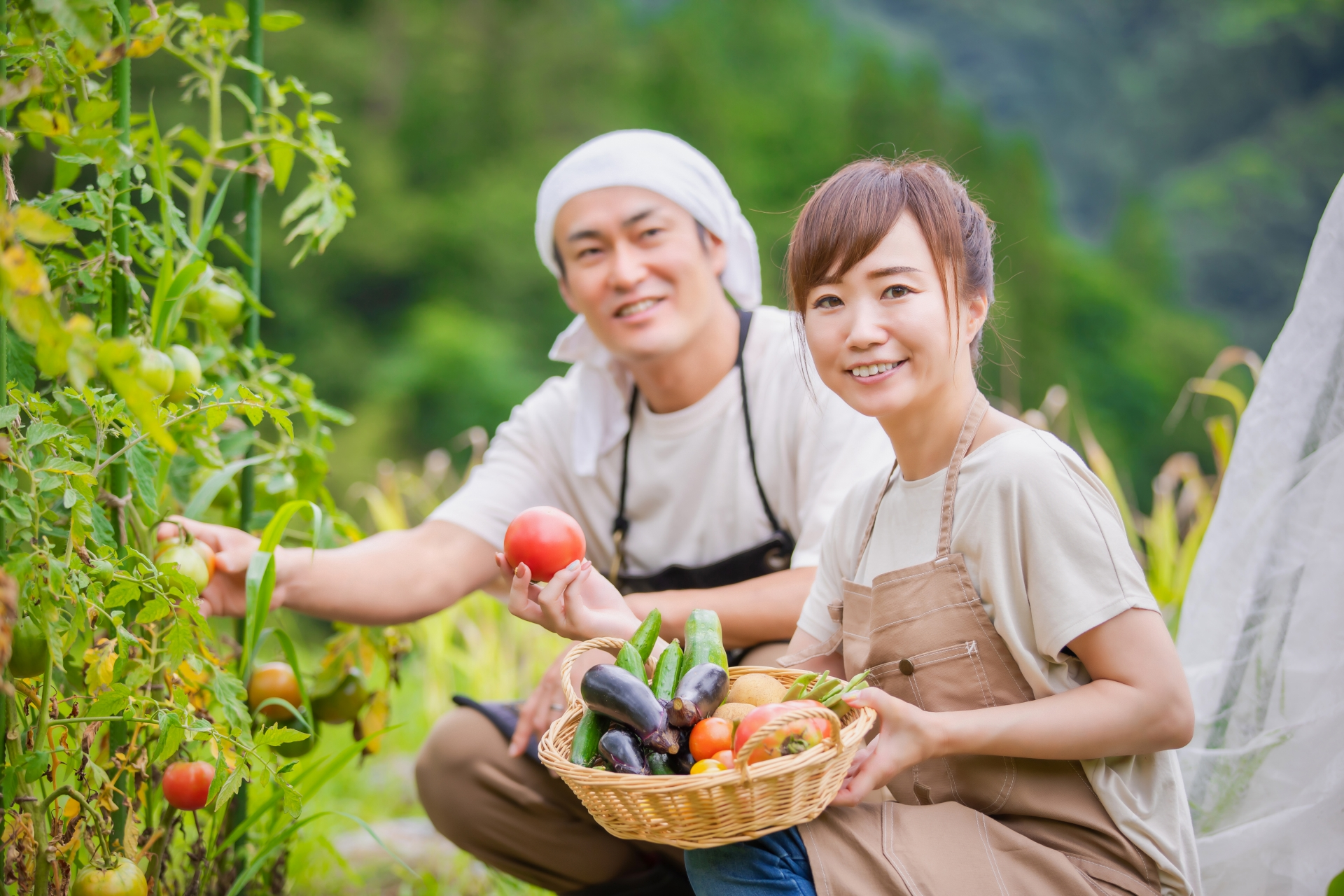 Kelas bahasa Jepang